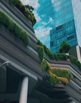 korie cull odocfzovvtc unsplash